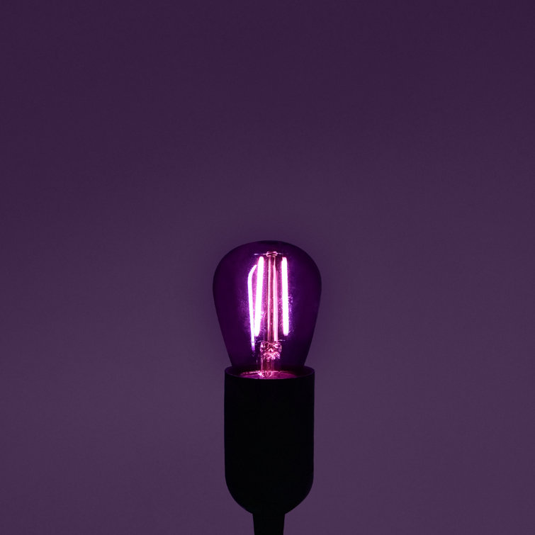 Purple light deals bulbs